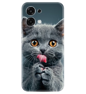 Oppo A6 Pro Kılıf Boutique Baskılı Resimli Komik Kedi Pcode -008
