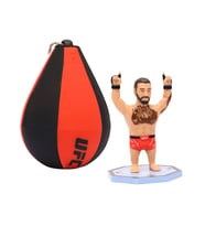 PMI/UFC2009