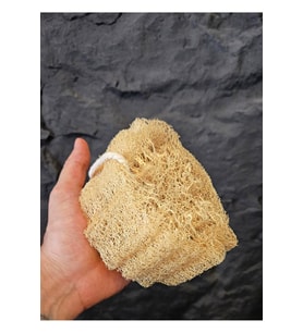 Doğal Kabak Lifi Bulaşık Süngeri Banyo Kesesi Loofah Sponge İpli Kabak Kesesi Kalın Büyük Parça