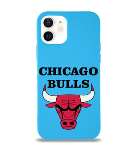 Apple iPhone 12 Uyumlu Lansman Kılıf Chicago Bulls Tasarımlı Altı Kapalı İçi Kadife Kaplı  Kapak (Şeffaf)