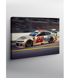 Kanvas Tablo Beyaz Nascar Yarış Arabası