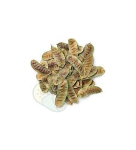 250 Gr Kurutulmuş Aşlık Otu Organik Taze Hasat Aşlık Çay Otu