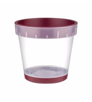 Dünya Orkide Saksısı Şeffaf Saksı 1400 ml 29041