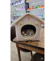 Yumuşak Kedi ve Köpek Evi, Derin Uyku ve Kış İçin Konforlu Yatak