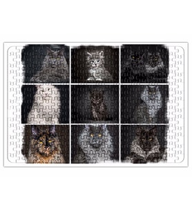 Cats Collection one Puzzle 240 Parça Yapboz