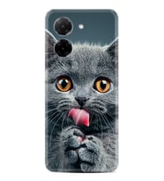 Xiaomi Redmi A5 4G Kılıf Boutique Baskılı Resimli Komik Kedi Pcode -008