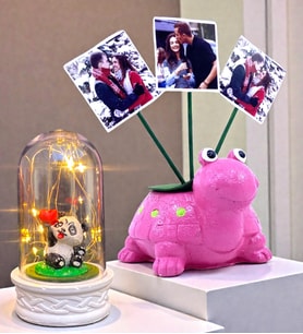 Kişiye Özel Hediye Seti 3 Fotoğraflı Sevimli Pembe Kaplumbağa ve Led Işıklı Fanus (Model 4)