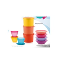 Tupperware Renkli Saklama Kabı 10 lu Set