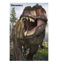 Prime 3D Discovery T-Rex ve Allosaurus İkili Puzzle 200 Parça 102