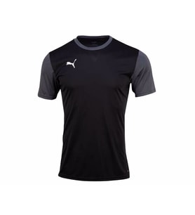 Puma Teamgoal 23 Sideline Tee Erkek Futbol Tişörtü 65648403 Siyah