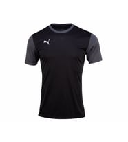 Puma Teamgoal 23 Sideline Tee Erkek Futbol Tişörtü 65648403 Siyah