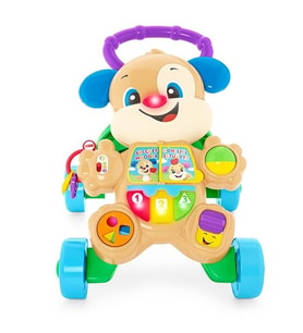 Fisher Price Eğitici Köpekçik Yürüteç Türkçe FTG10 Lisanslı Ürün