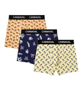 Carnaval Animal Crew Erkek Boxer 3’lü Set