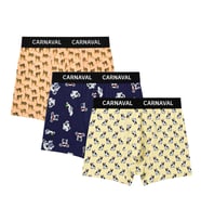 Carnaval Animal Crew Erkek Boxer 3’lü Set