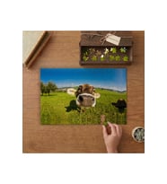 İnek Burnu - Yakın Çekim Tasarımı 240 parça Ahşap Puzzle Ahşap Kutuda MP09501