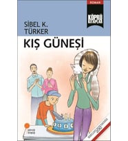 Kış Güneşi