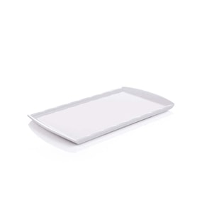 Gmb Nazen AB-17 Termoset Kırılmaz-Teşhir Tepsi 2-20x35 cm 20 Adet