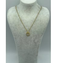 Çelik Gold Taşlı Kalp Kolye - 25-ctr83