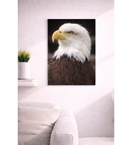 EAGLE22 TASARIM MDF TABLO (27X18)