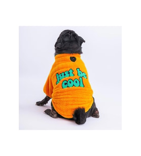 Pawstar Kedi ve KÜÇÜK Köpek Yellow Just Sweat L Sırt33cm Göğüs46cm Boyun30cm