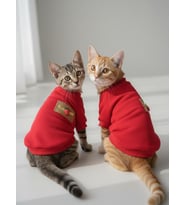 Sevimli Çilek Detaylı Kırmızı Kedi Polar Sweatshirt