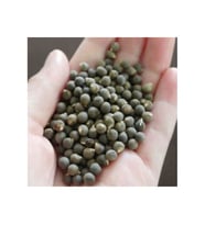 Bamya Tohumu 750 gr ( Ilaçsız, Yenilebilir, Elenmiş )