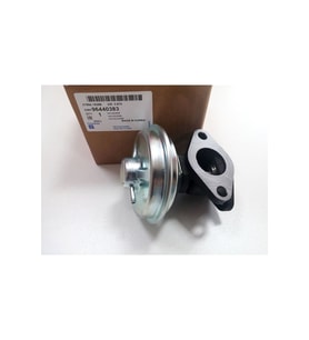 Chevrolet Epica 2.0 Dizel Egr Valfi Orjinal Gm (Standart)