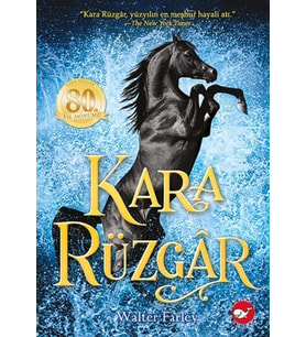 Kara Rüzgar