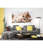 KEDİ MDF TABLO-2535 MODEL-B