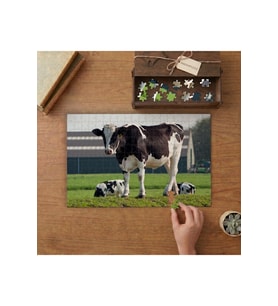 Siyah Beyaz İnekler Tasarımı 240 parça Ahşap Puzzle Ahşap Kutuda MP07980