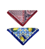 2 Li Saten Bandana Seti Saten Fular Saten Çanta Aksesuarı Özel Desen Bandana 45X50 Cm