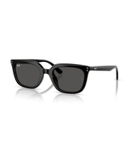 Ray-Ban RB4439D 901/87 Unisex Güneş Gözlüğü