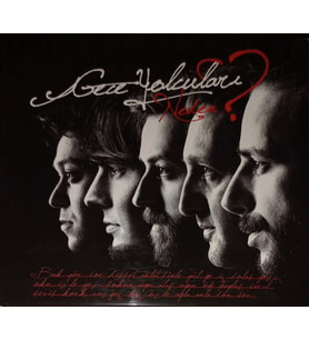 (Plak Değildir CD dir) CD Gece Yolcuları Neden CD (Karışık)