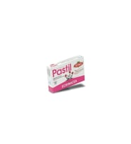 OTACI PASTİL ECHINACEA 16 LI