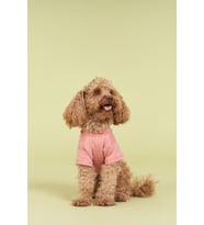 Salya Store Köpek Tshirt Yeni Pou Serisi - Hands 0-30kg (Mercan)