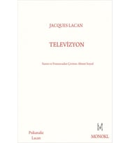 Televizyon