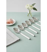6 lı Paslanmaz Çelik Tatlı Kaşığı Seti Beyaz Saplı 15 cm