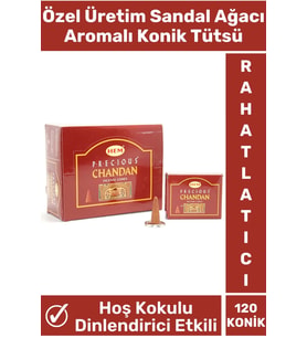 Rahatlatıcı Arındırıcı İyileştirici Ev Ofis Meditasyon Yoga Chakra Pozitif Enerji 120 Konik Tütsü