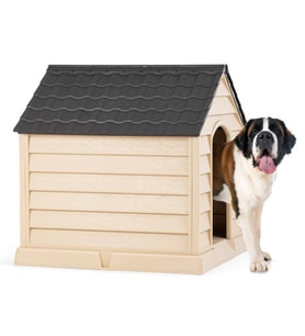 Büyük Köpek Kulübesi