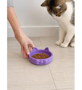 Papyon Model Beton Kedi Köpek Mama ve Su Kabı 16 cm çap - Mor