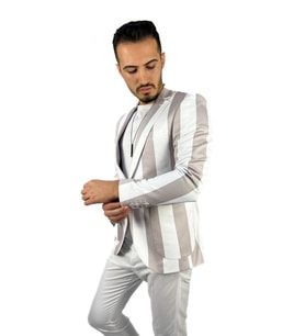Gri Beyaz Şerit Desen Torba Cep Blazer Tek Ceket Slim Fit  Agustini