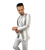 Gri Beyaz Şerit Desen Torba Cep Blazer Tek Ceket Slim Fit  Agustini