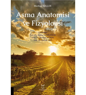 Asma Anatomisi Ve Fizyolojisi (Krem)