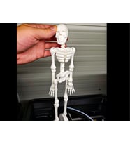 Hareketli İnsan İskeleti 18CM Büyük boy PLA Doğal Malzeme