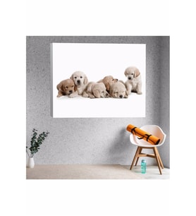 Köpek Yavrusu Temalı Kanvas Tablo