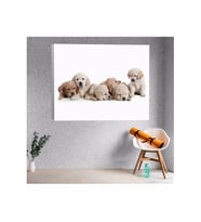 Köpek Yavrusu Temalı Kanvas Tablo