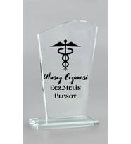 Eczacıya Hediye  Kristal Ödül