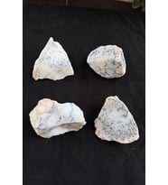 Dendritli Opal Merlinit Doğal Parça 10-MR