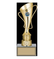 ODAK KUPA - Genel Kupalar - GN-138 C - 27 cm