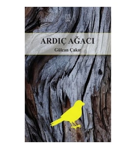 Ardıç Ağacı